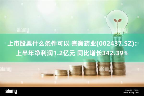上市股票什么条件可以 誉衡药业(002437.SZ)：上半年净利润1.2亿元 同比增长342.39%