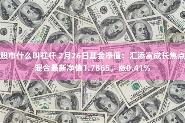 股市什么叫杠杆 2月26日基金净值：汇添富成长焦点混合最新净值1.7865，涨0.41%