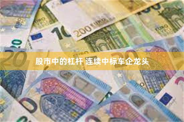 股市中的杠杆 连续中标车企龙头