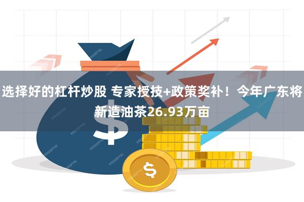 选择好的杠杆炒股 专家授技+政策奖补！今年广东将新造油茶26.93万亩