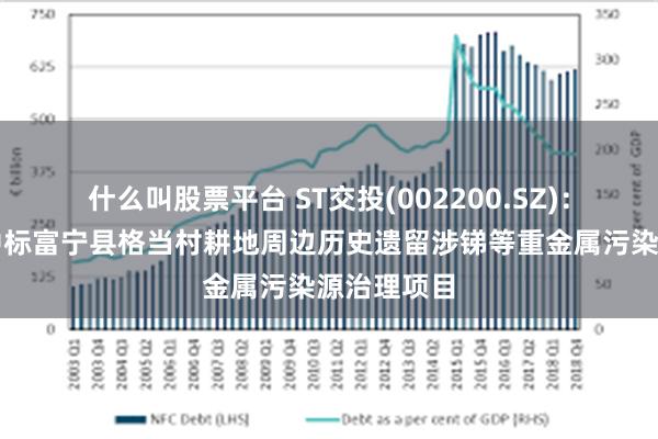 什么叫股票平台 ST交投(002200.SZ)：联合体预中标富宁县格当村耕地周边