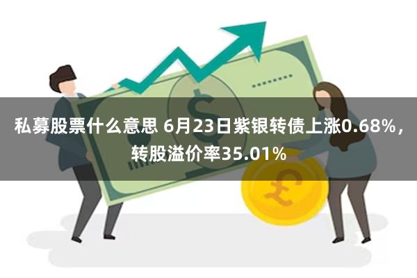 私募股票什么意思 6月23日紫银转债上涨0.68%，转股溢价率35.01%