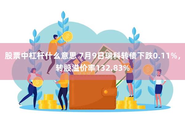股票中杠杆什么意思 7月9日瑞科转债下跌0.11%，转股溢价率132.83%