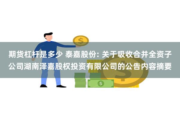 期货杠杆是多少 泰嘉股份: 关于吸收合并全资子公司湖南泽嘉股权投资有限公司的公告