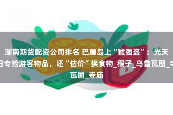 湖南期货配资公司排名 巴厘岛上“猴强盗”：光天化日专抢游客物品，还“估价”换食物