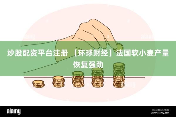 炒股配资平台注册 【环球财经】法国软小麦产量恢复强劲